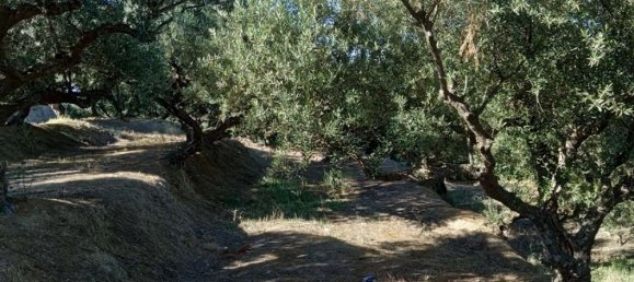 Hotel em Zakynthos, Greece N.º 540 6