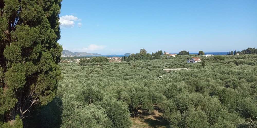 Hotel em Zakynthos, Greece N.º 540