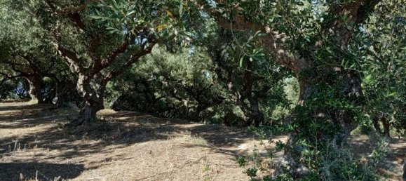 Hotel em Zakynthos, Greece N.º 540 4