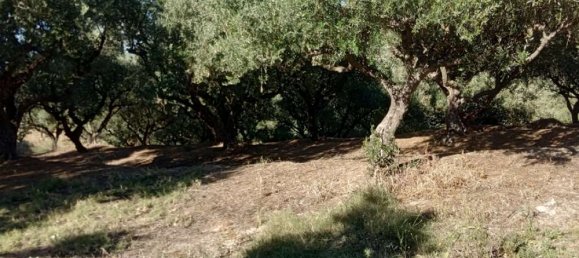 Hotel em Zakynthos, Greece N.º 540 10