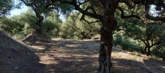 Земельный участок в Закинтос, Ионические острова, Пелопоннес, Западная Греция и Ионические острова, Греция № 540 5