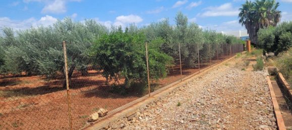 Grundstück in Vilamarxant, Spain, Nr. 172177 7