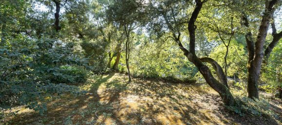 6 Schlafzimmer Haus in Seva, Spain, Nr. 172330 42