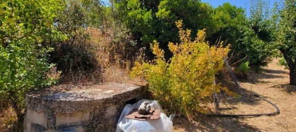 Grundstück in Proenca a Nova, Portugal, Nr. 250201 11