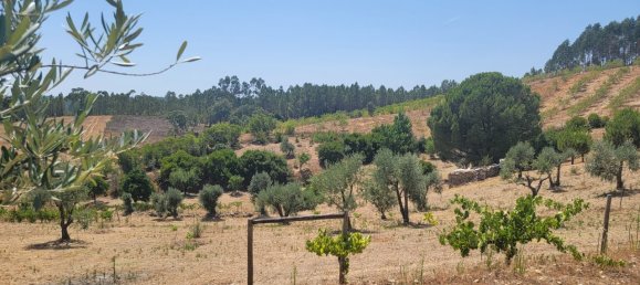 Grundstück in Proenca a Nova, Portugal, Nr. 250201 3