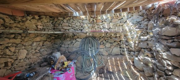 Grundstück in Proenca a Nova, Portugal, Nr. 250201 7