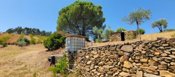 Grundstück in Proenca a Nova, Portugal, Nr. 250201 10