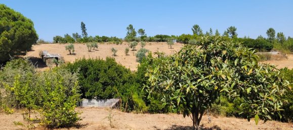 Grundstück in Proenca a Nova, Portugal, Nr. 250201 14