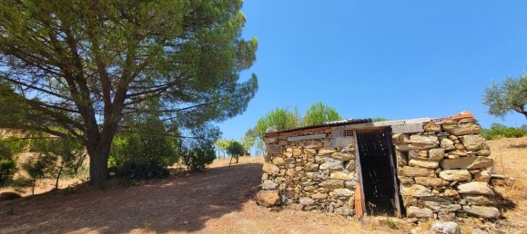 Grundstück in Proenca a Nova, Portugal, Nr. 250201 6