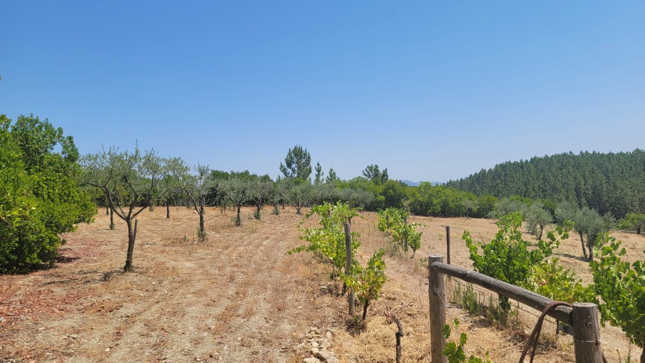  قطعة أرض في Proenca a Nova, Portugal رقم 250201