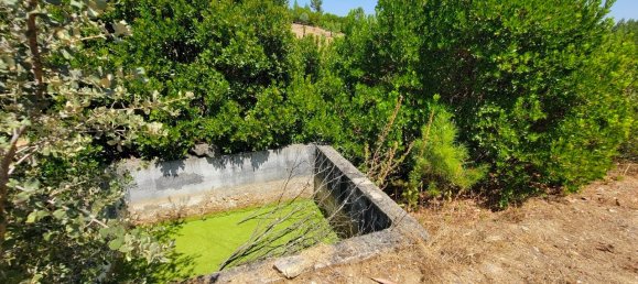 Grundstück in Proenca a Nova, Portugal, Nr. 250201 15