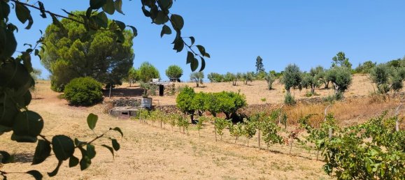 Grundstück in Proenca a Nova, Portugal, Nr. 250201 12