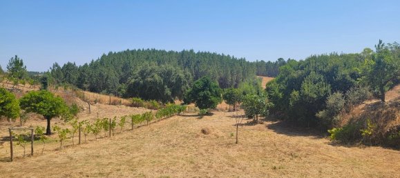 Grundstück in Proenca a Nova, Portugal, Nr. 250201 8