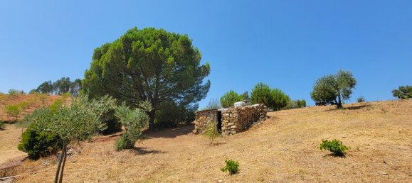 Grundstück in Proenca a Nova, Portugal, Nr. 250201 5