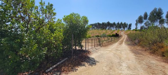 Grundstück in Proenca a Nova, Portugal, Nr. 250201 17