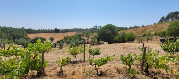 Grundstück in Proenca a Nova, Portugal, Nr. 250201 2