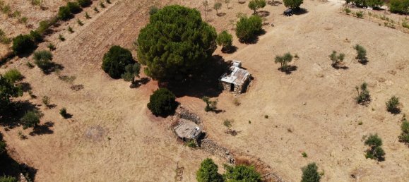 Grundstück in Proenca a Nova, Portugal, Nr. 250201 19