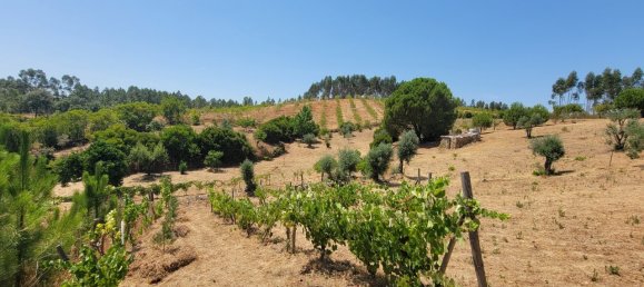 Grundstück in Proenca a Nova, Portugal, Nr. 250201 4