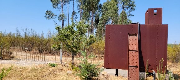 Grundstück in Proenca a Nova, Portugal, Nr. 250201 16