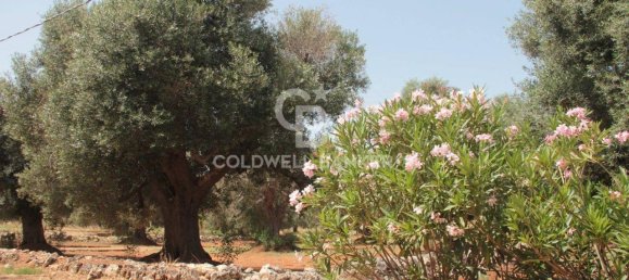 1 room Land in San Vito dei Normanni, Italy No. 166959 6