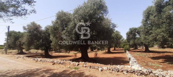 1 room Land in San Vito dei Normanni, Italy No. 166959 11