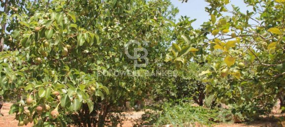 1 room Land in San Vito dei Normanni, Italy No. 166959 35