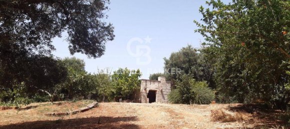 1 room Land in San Vito dei Normanni, Italy No. 166959 14