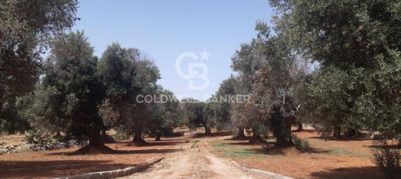 1 room Land in San Vito dei Normanni, Italy No. 166959 13