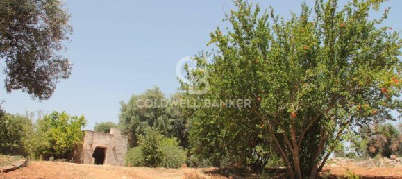 1 room Land in San Vito dei Normanni, Italy No. 166959 3