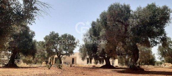 1 room Land in San Vito dei Normanni, Italy No. 166959 4