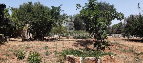 1 room Land in San Vito dei Normanni, Italy No. 166959 15