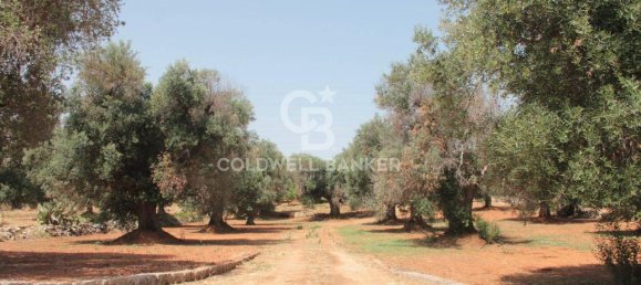 1 room Land in San Vito dei Normanni, Italy No. 166959 5