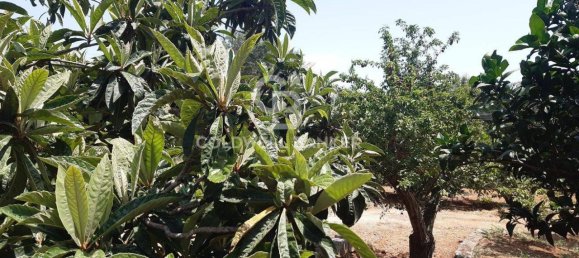 1 room Land in San Vito dei Normanni, Italy No. 166959 18