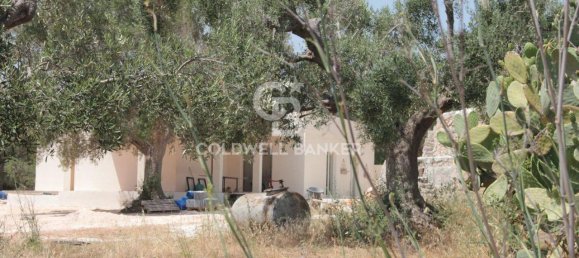 1 room Land in San Vito dei Normanni, Italy No. 166959 33