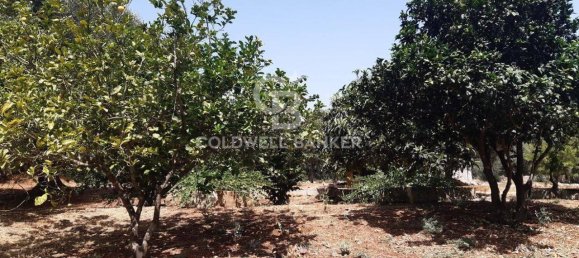 1 room Land in San Vito dei Normanni, Italy No. 166959 23