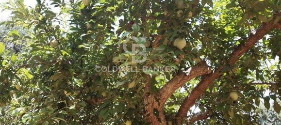 1 room Land in San Vito dei Normanni, Italy No. 166959 20