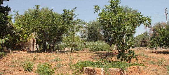 1 room Land in San Vito dei Normanni, Italy No. 166959 36