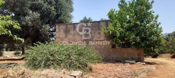 1 room Land in San Vito dei Normanni, Italy No. 166959 26