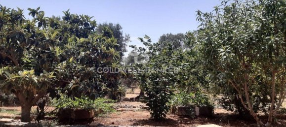 1 room Land in San Vito dei Normanni, Italy No. 166959 27