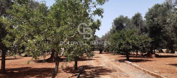 1 room Land in San Vito dei Normanni, Italy No. 166959 19