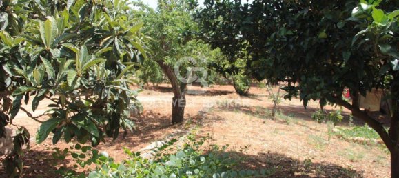 1 room Land in San Vito dei Normanni, Italy No. 166959 31