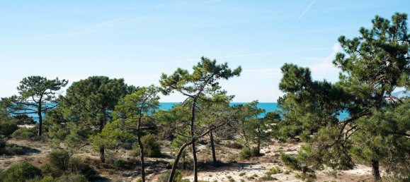 3 غرف نوم شقة في Portimao, Portugal رقم 339802 34