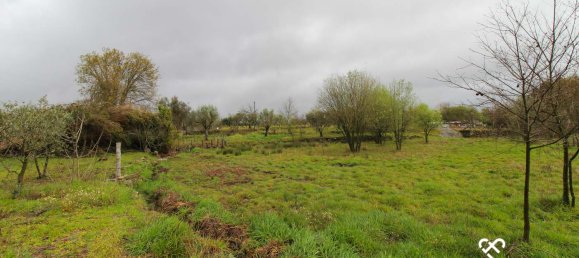  Land in Viseu, Portugal No. 66512 8