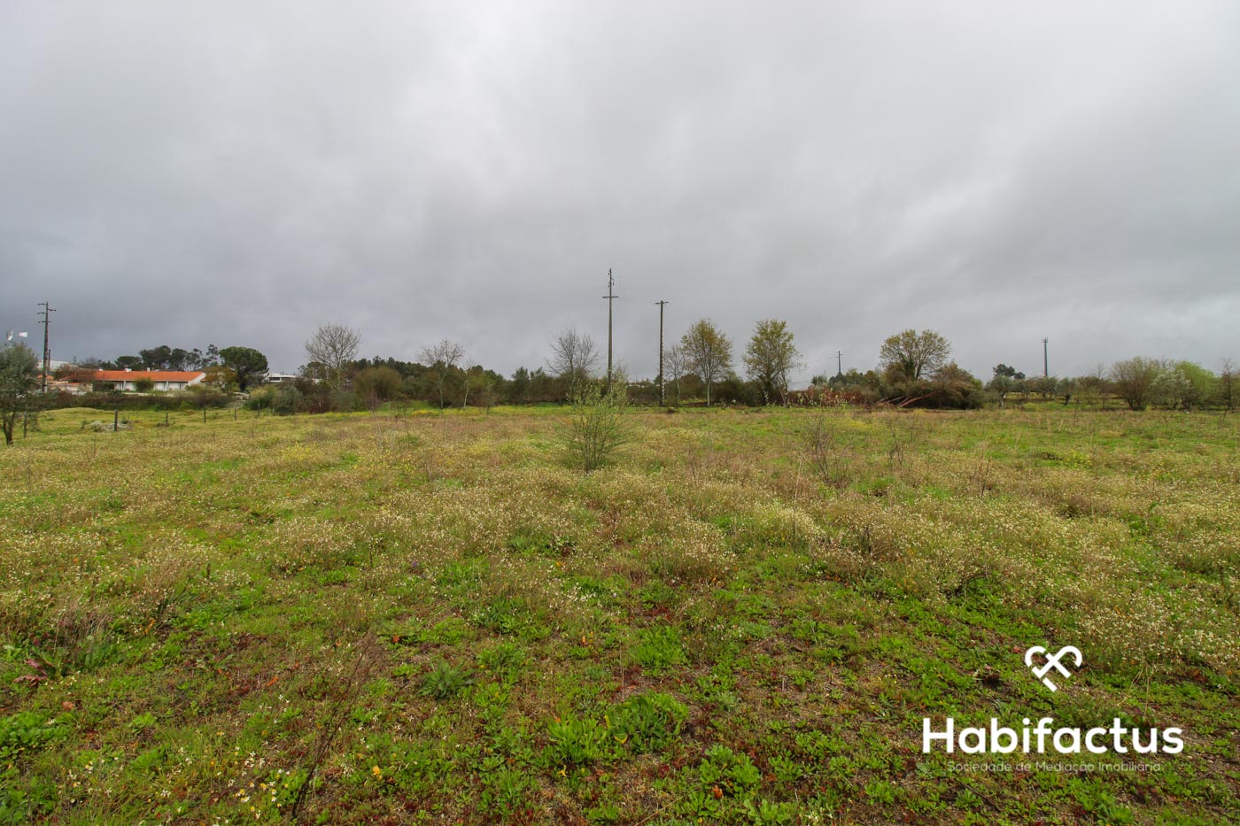  Land in Viseu, Portugal No. 66512