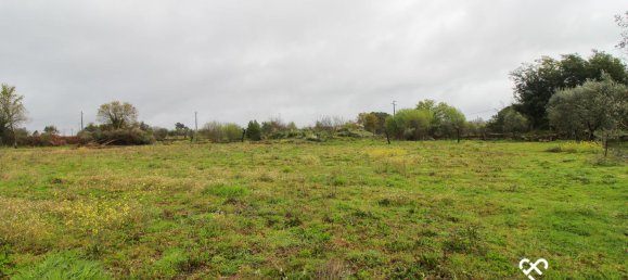  Land in Viseu, Portugal No. 66512 2