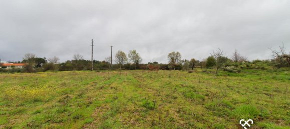  Land in Viseu, Portugal No. 66512 3