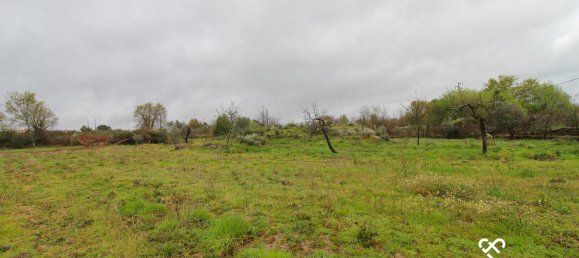  Land in Viseu, Portugal No. 66512 4