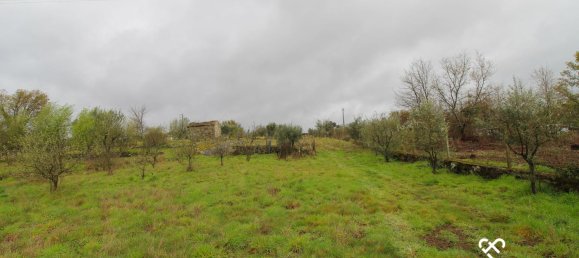  Land in Viseu, Portugal No. 66512 6