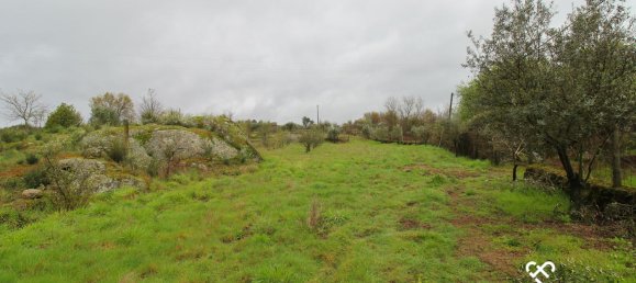  Land in Viseu, Portugal No. 66512 5
