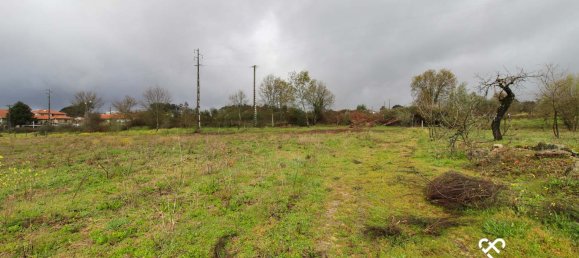  Land in Viseu, Portugal No. 66512 7